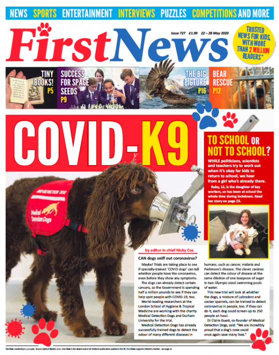 First News Kids Weekly Newspaper Activities